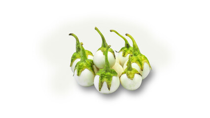 Small white egg plant isolated