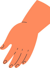 Human Hand Palm