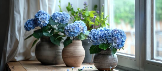 Interior decor with geocynths and hydrangea flowers in pots. - obrazy, fototapety, plakaty