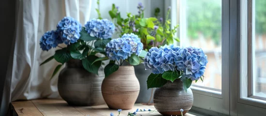 Foto auf Acrylglas Interior decor with geocynths and hydrangea flowers in pots. © Vusal