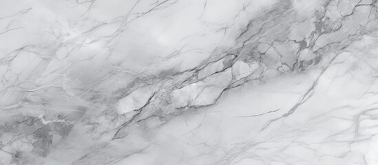 Background of elegant marble showcasing a blend of black and white colors, creating a stylish and timeless appearance