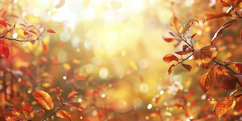 Wandaufkleber Autumn leaves background in warm color tones © Aimages