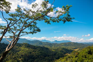 The breathtaking views of Sri Lankan nature