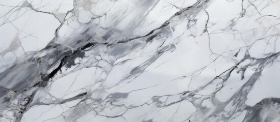 Contrast of black and white marble showcasing a striking dark vein running through the surface