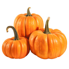 Fototapeta premium Ripe of fresh orange pumpkins isolated on white background
