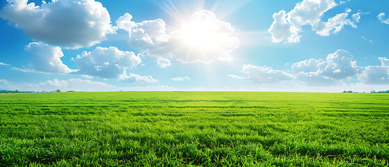 Fototapeta na wymiar a vast, lush green field under a bright blue sky adorned with fluffy white clouds