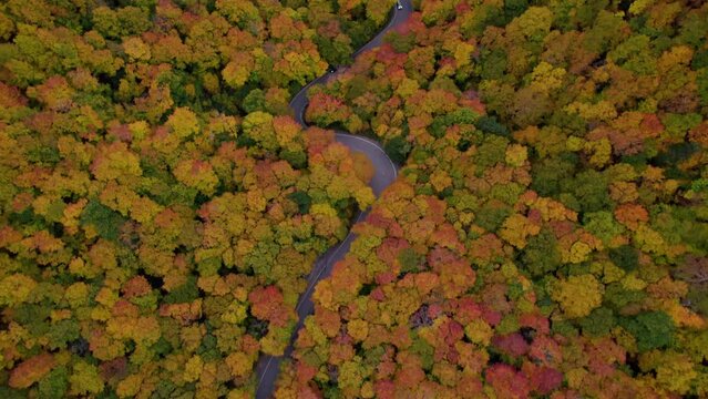 Aerial Cars Drive Curved Forest Road Autumn Colors. Smuggler's Notch New England