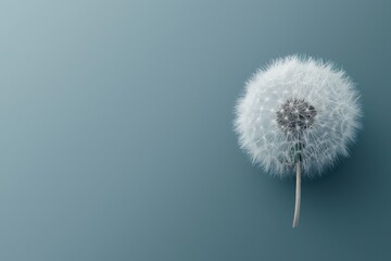 Irregular sphere made of dandelion fluff against blue backdrop with copy space.