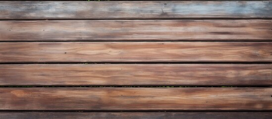 Wooden bench in focus with a lush green plant in the backdrop, creating a serene outdoor setting