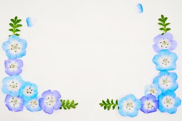 白背景に並べられたブルーのネモフィラの花と葉のタイトルフレーム素材