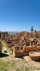 The Carthaginian ruins in Tunis, Tunisia, with the modern city beyond