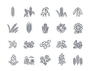 Vector Set of cereals linear icons