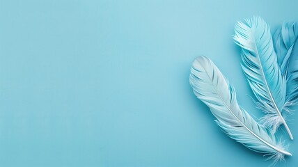 Three delicate light blue feathers on a matching background, arranged diagonally across the frame.