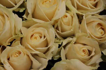 Group of white roses, wedding decorations - 769251172