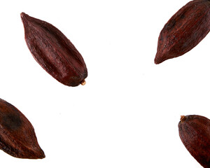 cacao pod isolated on white background