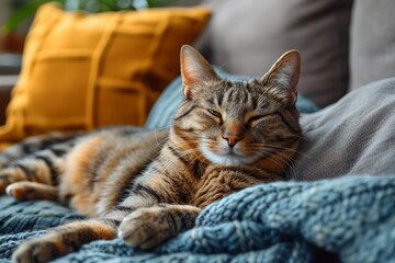 A cozy tabby cat lies comfortably on a knitted blanket, a picture of relaxation with a soft depth of field focusing on the cat's face