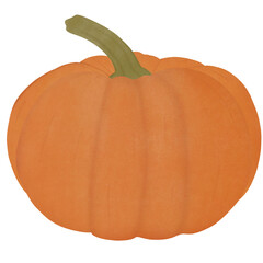 Ripe orange pumpkin isolated on white background. Illustration Design.