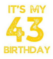 Retro Vintage It's My 43 Birthday Happy Party Funny Love