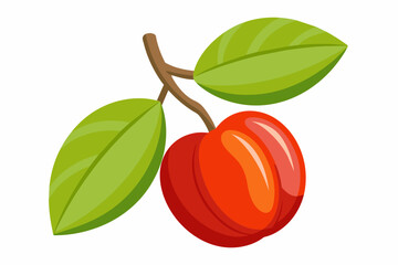 cherry food vector illustration