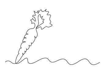 Carrot in one continuous line drawing of carrot vector illustration