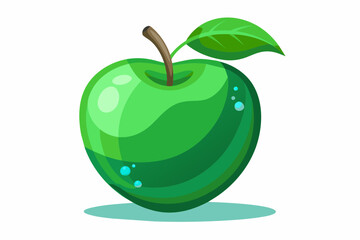 water apple food vector illustration