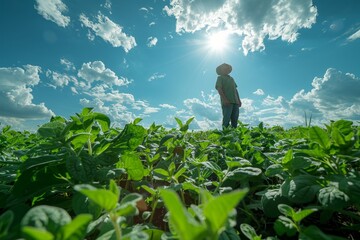 An industrious farmer surveys a lush green field under a deep blue sky, clouds framing the sun