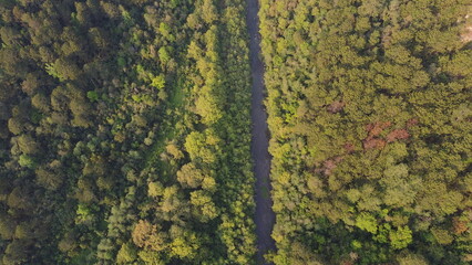 drone photography of nature in the Apulco Valley Puebla Mexico