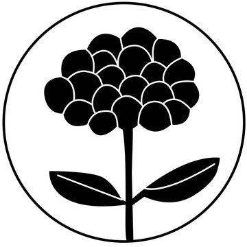 jinseng flower