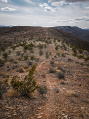 Bike trail through St. George Utah desert landscape