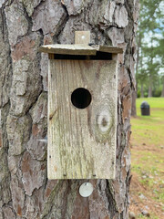 Vertical shot of an old wooden birdhouse on a pine tree at a park