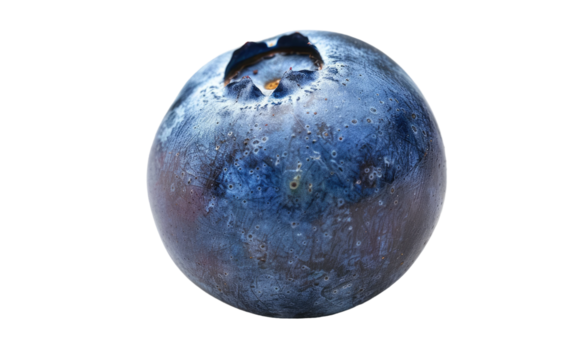 Blueberry Macroscopic Perspective isolated on transparent Background
