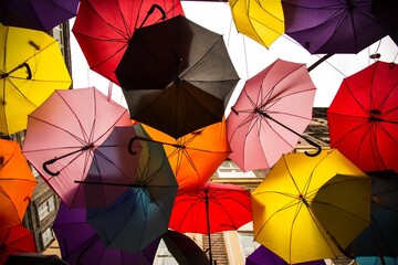 Canopy Couture: Elevating Rainy Day Fashion with the Beautiful Umbrella's Sophistication
