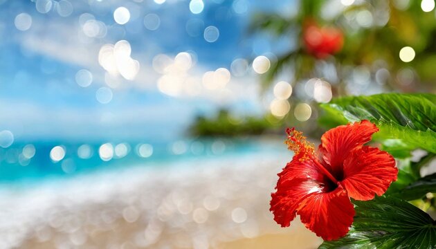 Background with red hibiscus and tropical beach image .(blurred and easy to use background material)
