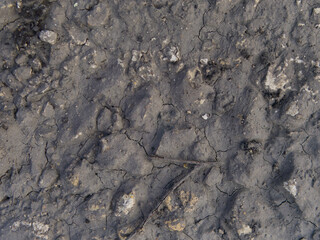 The texture of stones in the mud. Abstract. View from above. Dark