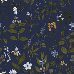 vector seamless pattern with drawing wild herbs at blue background , cover design with medicinal flowers and plants, hand drawn illustration