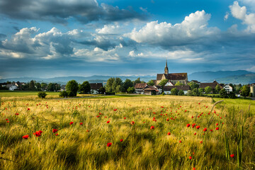 Kornfeld mit Kloster im Hintergrund. Kloster Kappel, Schweiz.