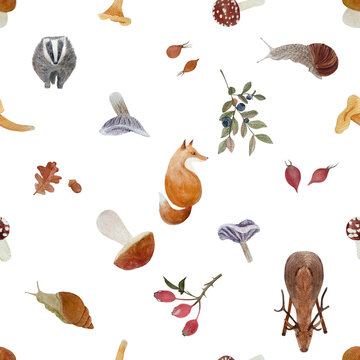 Wild animals and mushrooms watercolor seamless pattern isolated on white. Porcini, Chanterelle, Fly agaric and Collybia nuda