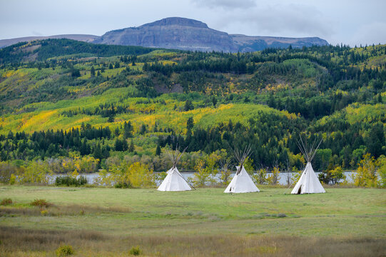 Teepees In A Meadow
