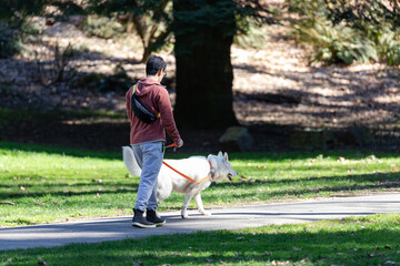 Obraz premium Man walking with his dog in a park, enjoying sunny warm spring weather and the nature