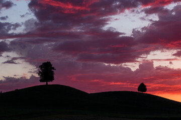 Dramatischer Sonnenuntergang mit rot leuchtenden Wolken. Silhouetten von Bäumen auf sanften Hügeln. Hirzel, Schweiz. - obrazy, fototapety, plakaty