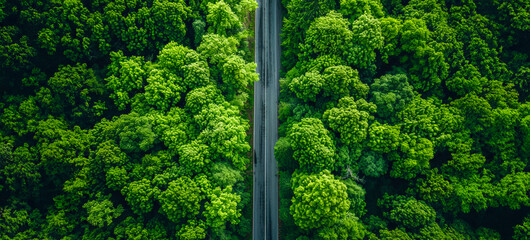 Aerial view of a green forest and a road cutting through nature