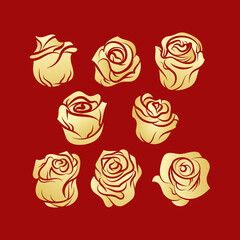 Collection set of gold rose flowers on red background