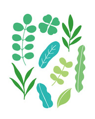 plant  icon