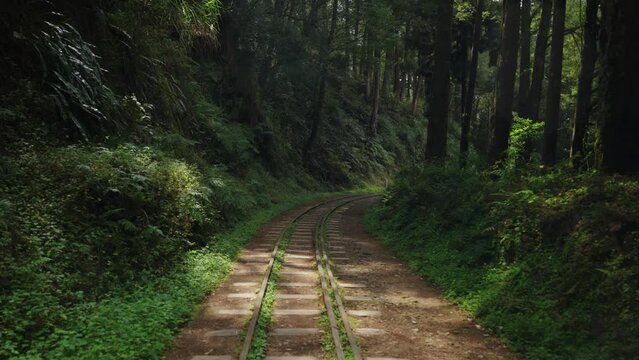 Walking through the Forest Railway at Alishan in Chiayi, Taiwan