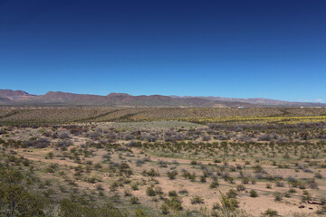 Gila River Basin, Arizona 