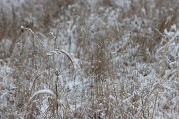 Field in the countryside in winter.