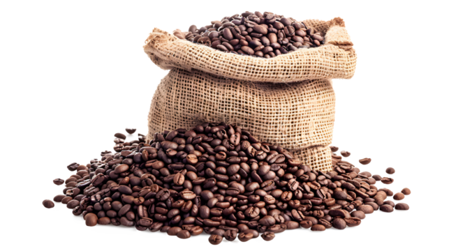 Coffee beans transparent picture
