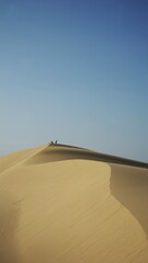 Fototapeta na wymiar Woman walking on the desert sand dunes aerial view in Ninh Thuan, Vietnam