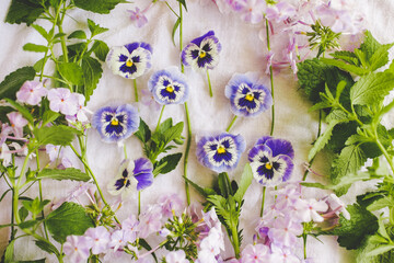 Creative Garden Flower Photograph of Purple Pansies with Lavender Phlox and Mint, Sweet Whimsical...