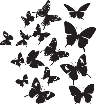 Silhouette of flying Butterfly set on white background